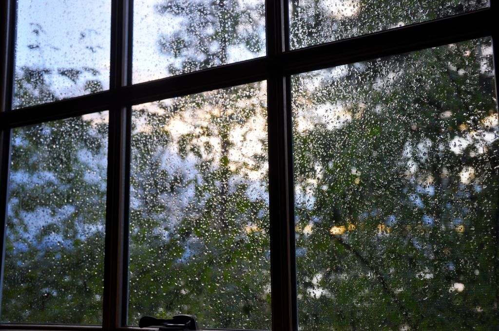 rain at window