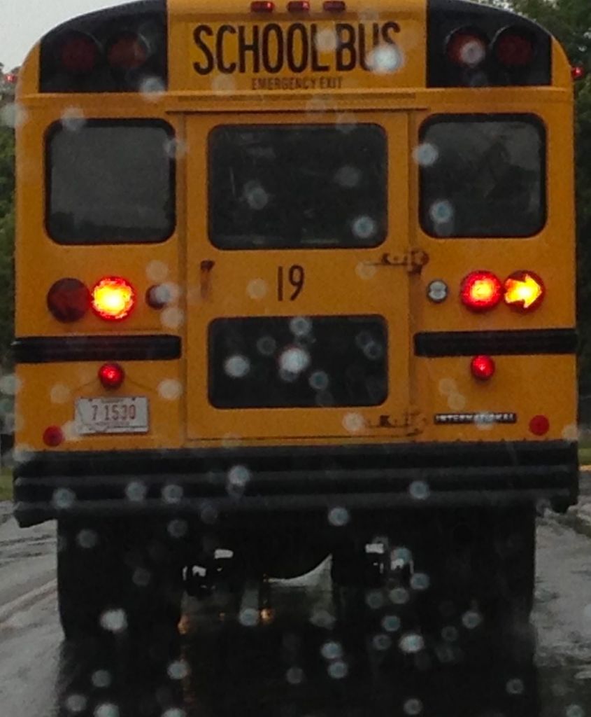 schoolbus 2