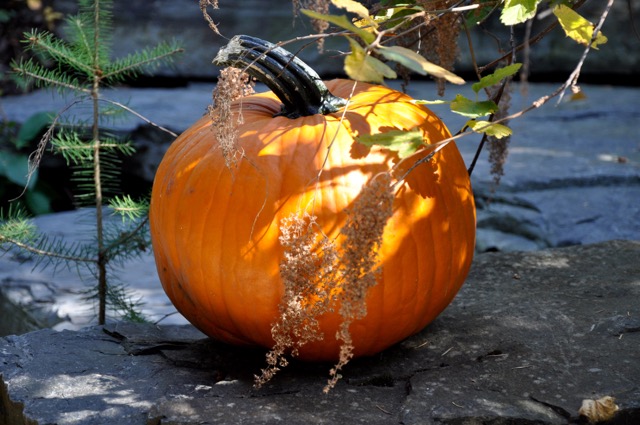 first day of autumn - 1