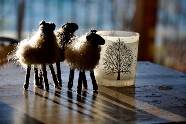 solstice-sheep-1