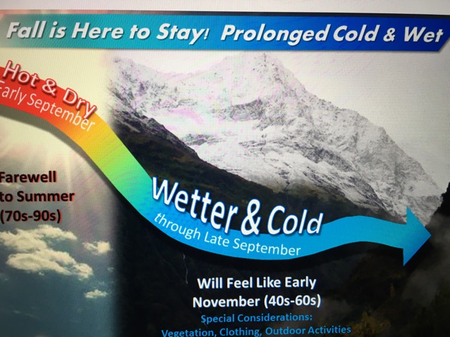 Fall is here to stay - 1