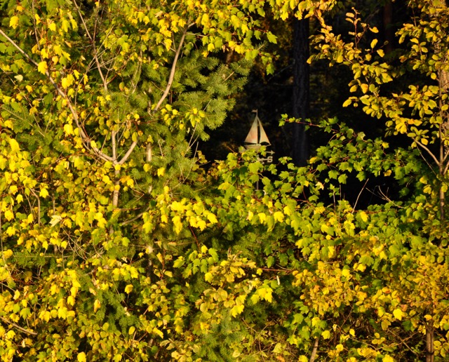 sailing into autumn - 1