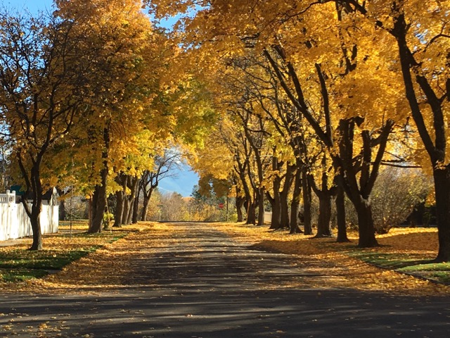 october good bye - 1