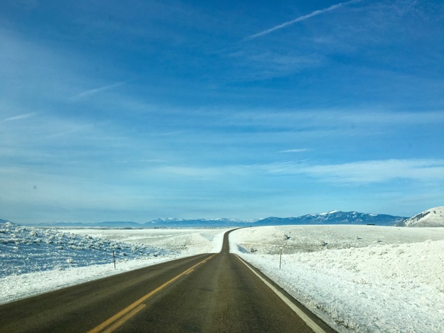 home for christmas - 1