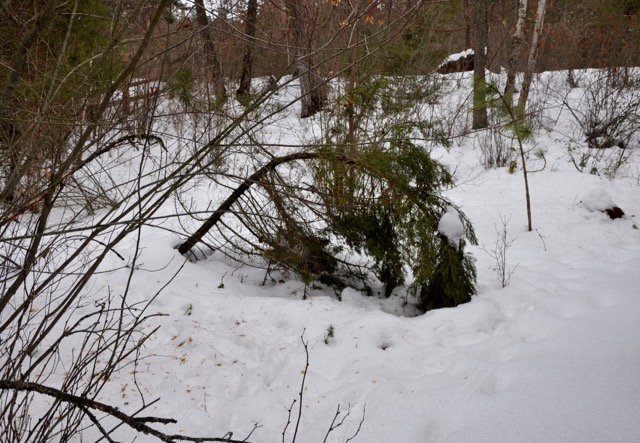 Almost at midpoint - 1