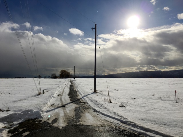 riding through January - 1