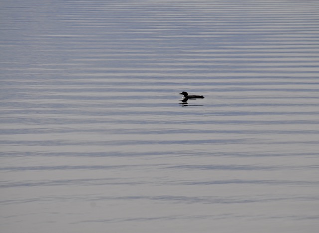 springtime on the water5 - 1