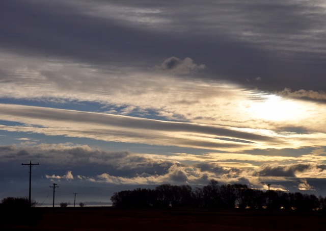 Looking for light - 1