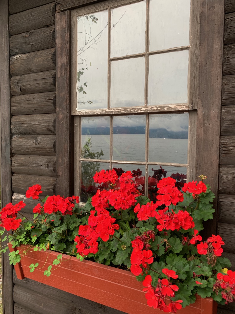 mid september3 - 1.jpg