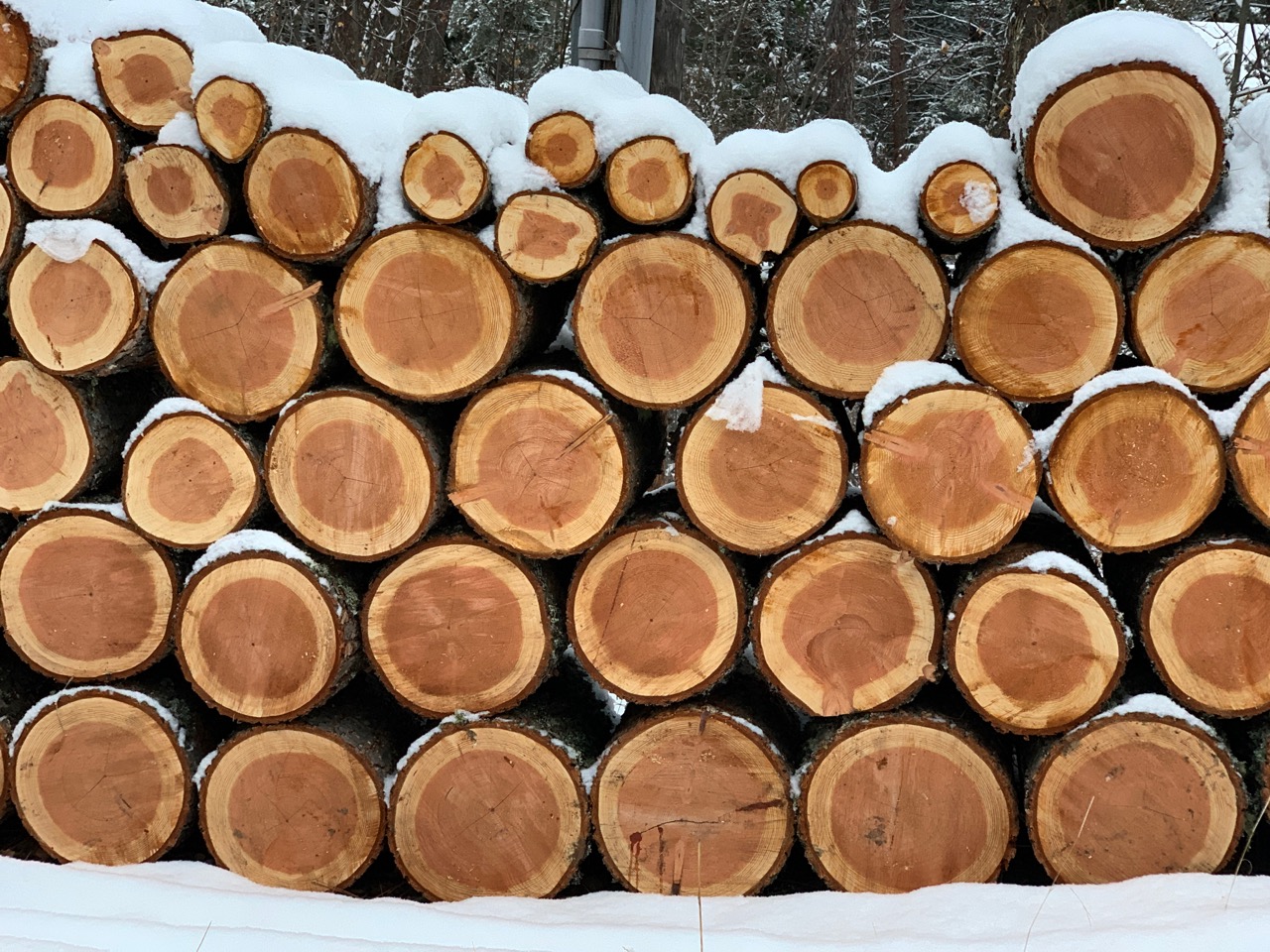 staying warm2 - 1.jpg