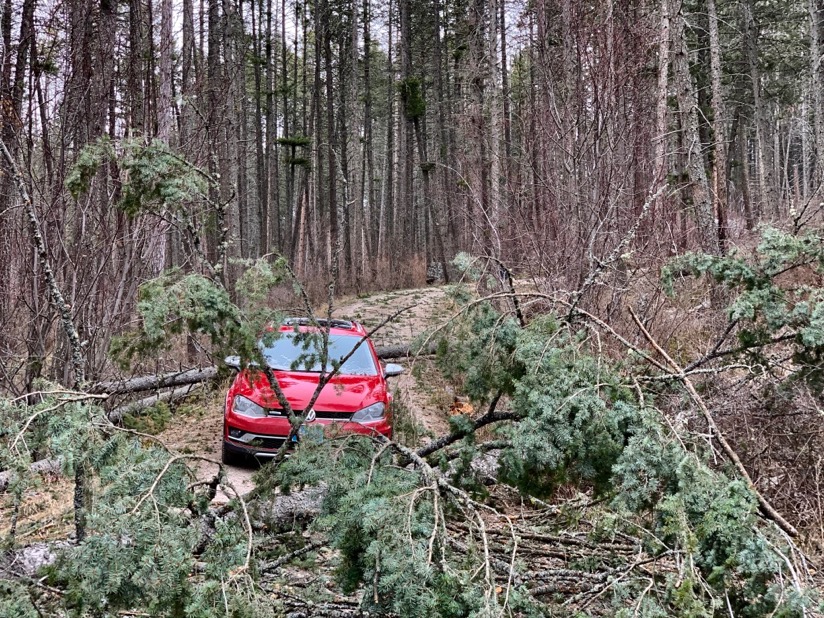 the sky is falling - 1