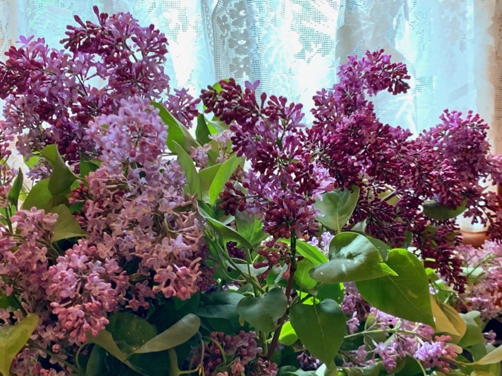 mustering home and good cheer-3 - 1