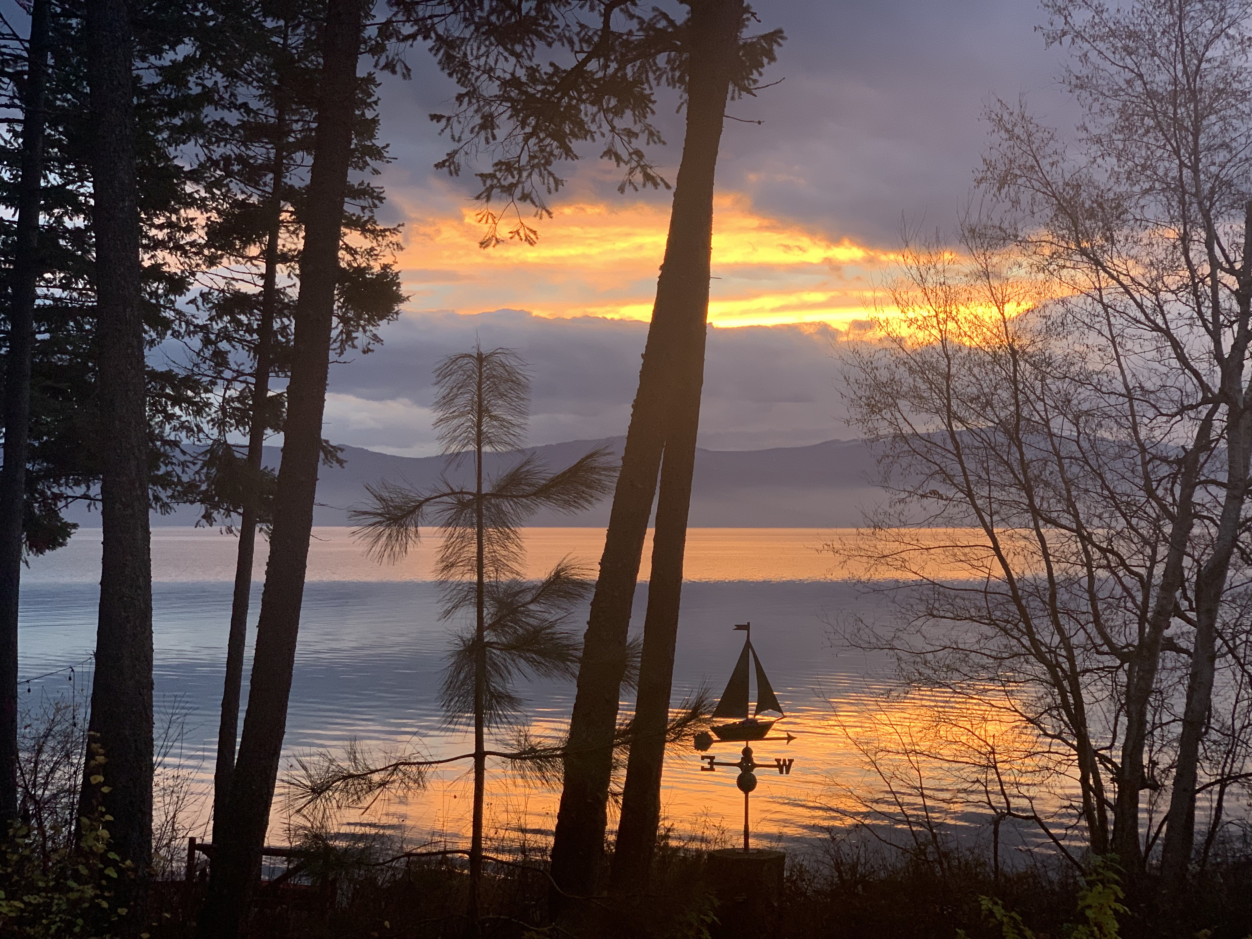 Finding Home in Montana